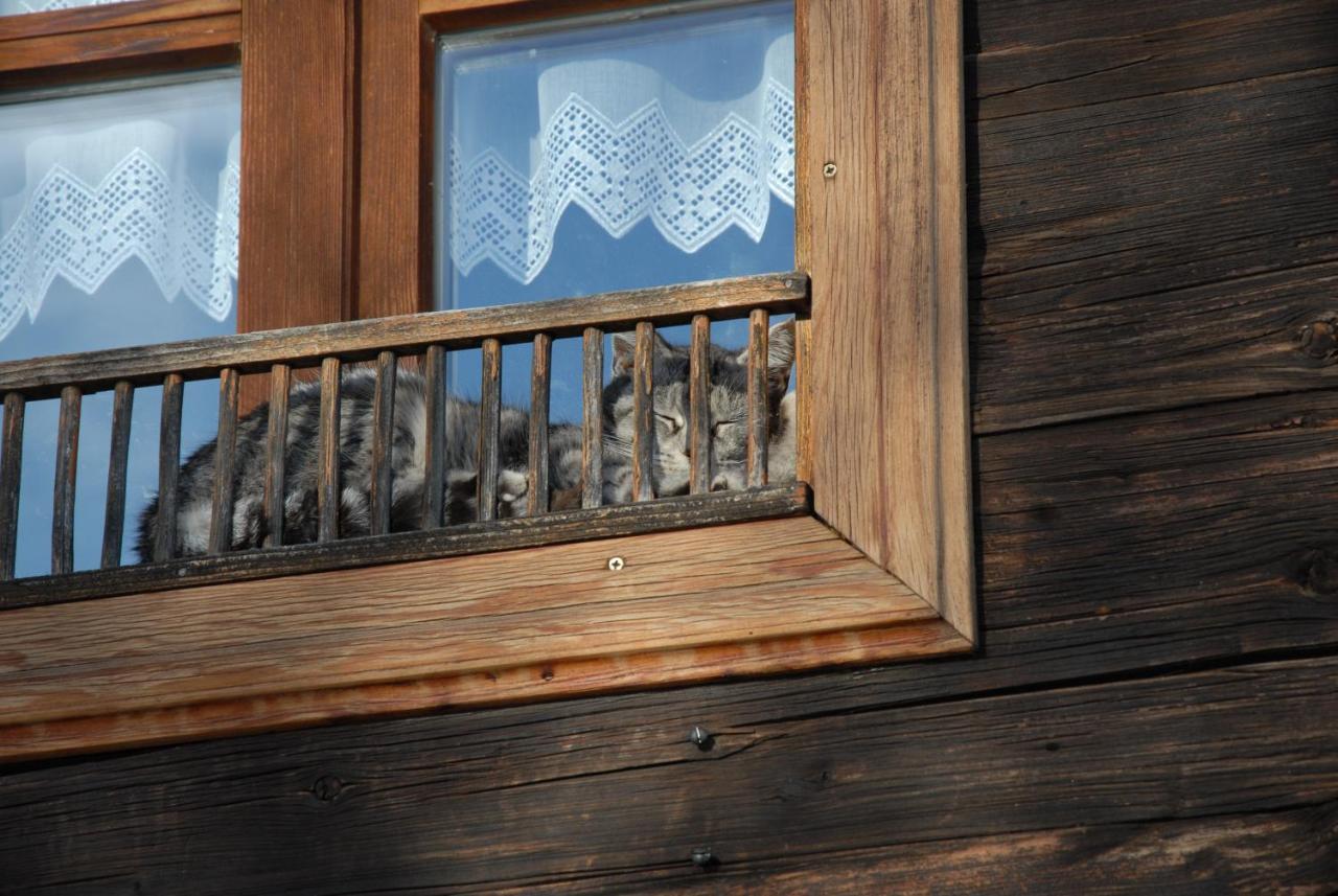 Ferienhaeuser Paunger Miesenbach  Bagian luar foto